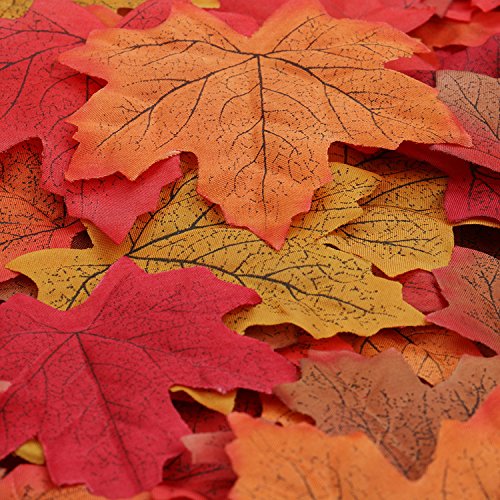 500 Stücke Künstliche Herbst Ahornblätter Dutzende Verschiedene Gemischte Herbst Ahornblatt Kunst Scrapbooking Dekor für Erntedankfest Hochzeiten Halloween Herbst Party Tisch Dekoration 500 Stücke Künstliche Herbst Ahornblätter Dutzende Verschiedene Gemischte Herbst Ahornblatt Kunst Scrapbooking Dekor für Erntedankfest Hochzeiten Halloween Herbst Party Tisch Dekoration